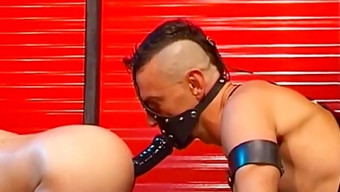 Wf Perverts 2