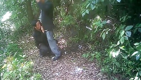 Older Oriental Men Enjoy It In The Forest